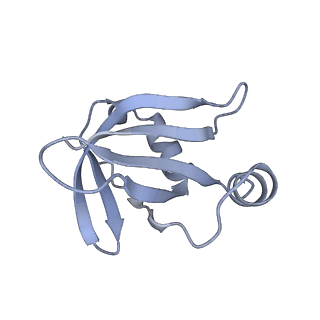 20058_6ogi_v_v1-1
70S termination complex with RF2 bound to the UAG codon. Rotated ribosome conformation (Structure V)