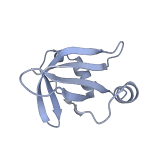 20058_6ogi_v_v1-2
70S termination complex with RF2 bound to the UAG codon. Rotated ribosome conformation (Structure V)