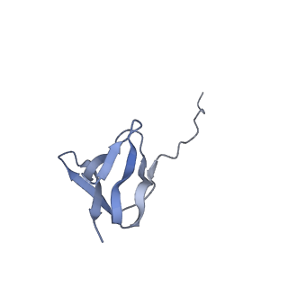 20058_6ogi_w_v1-1
70S termination complex with RF2 bound to the UAG codon. Rotated ribosome conformation (Structure V)