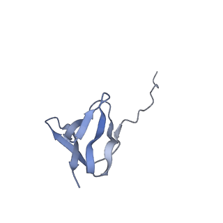 20058_6ogi_w_v1-2
70S termination complex with RF2 bound to the UAG codon. Rotated ribosome conformation (Structure V)