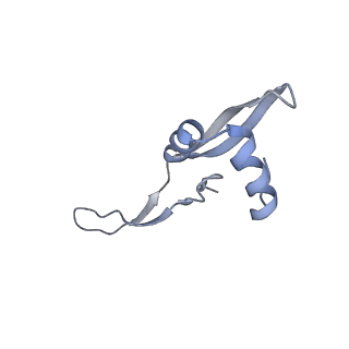20058_6ogi_x_v1-1
70S termination complex with RF2 bound to the UAG codon. Rotated ribosome conformation (Structure V)