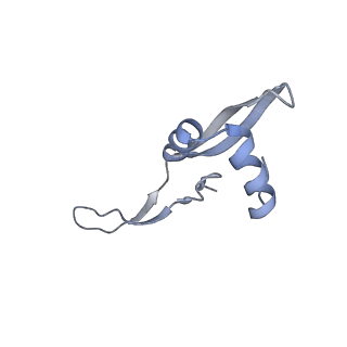 20058_6ogi_x_v1-2
70S termination complex with RF2 bound to the UAG codon. Rotated ribosome conformation (Structure V)