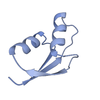 20058_6ogi_z_v1-1
70S termination complex with RF2 bound to the UAG codon. Rotated ribosome conformation (Structure V)