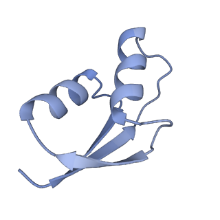 20058_6ogi_z_v1-2
70S termination complex with RF2 bound to the UAG codon. Rotated ribosome conformation (Structure V)