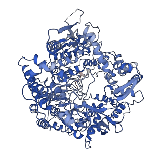 20059_6ogy_A_v1-3
In situ structure of Rotavirus RNA-dependent RNA polymerase at duplex-open state
