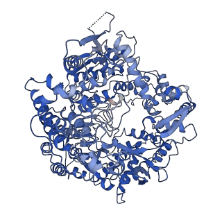 20059_6ogy_A_v1-4
In situ structure of Rotavirus RNA-dependent RNA polymerase at duplex-open state