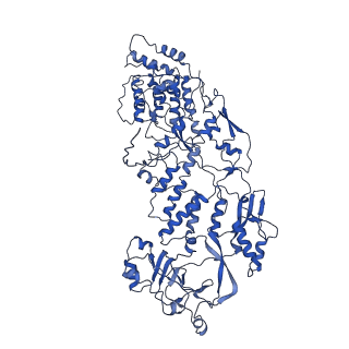 20059_6ogy_C_v1-3
In situ structure of Rotavirus RNA-dependent RNA polymerase at duplex-open state