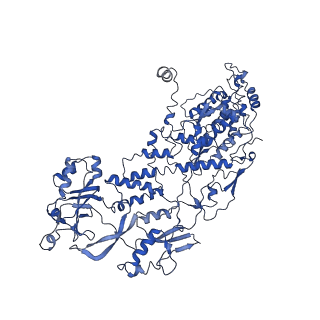 20059_6ogy_D_v1-3
In situ structure of Rotavirus RNA-dependent RNA polymerase at duplex-open state