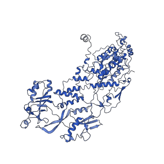 20059_6ogy_D_v1-4
In situ structure of Rotavirus RNA-dependent RNA polymerase at duplex-open state