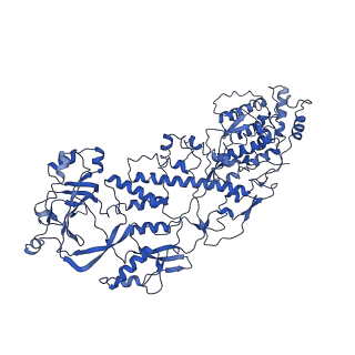 20059_6ogy_E_v1-3
In situ structure of Rotavirus RNA-dependent RNA polymerase at duplex-open state