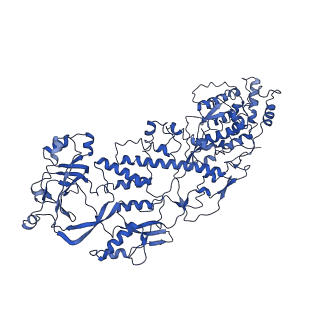 20059_6ogy_E_v1-4
In situ structure of Rotavirus RNA-dependent RNA polymerase at duplex-open state