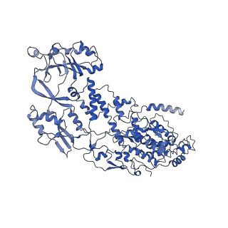 20059_6ogy_F_v1-3
In situ structure of Rotavirus RNA-dependent RNA polymerase at duplex-open state