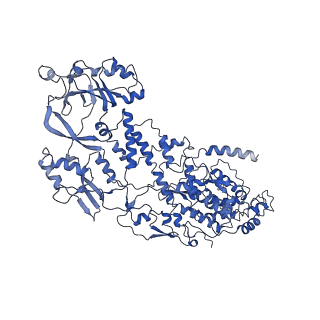 20059_6ogy_F_v1-4
In situ structure of Rotavirus RNA-dependent RNA polymerase at duplex-open state