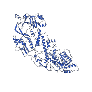20059_6ogy_G_v1-3
In situ structure of Rotavirus RNA-dependent RNA polymerase at duplex-open state