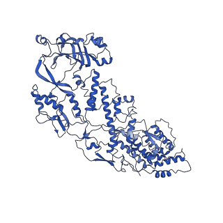 20059_6ogy_G_v1-4
In situ structure of Rotavirus RNA-dependent RNA polymerase at duplex-open state