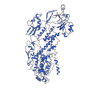 20059_6ogy_H_v1-3
In situ structure of Rotavirus RNA-dependent RNA polymerase at duplex-open state