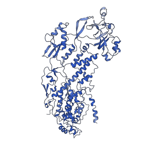 20059_6ogy_H_v1-4
In situ structure of Rotavirus RNA-dependent RNA polymerase at duplex-open state