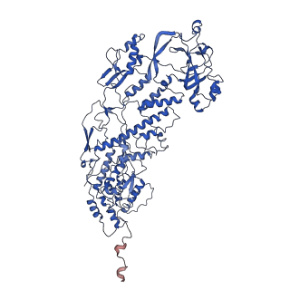 20059_6ogy_I_v1-3
In situ structure of Rotavirus RNA-dependent RNA polymerase at duplex-open state