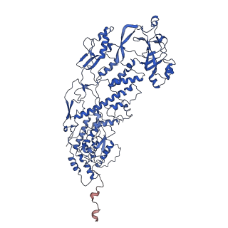 20059_6ogy_I_v1-4
In situ structure of Rotavirus RNA-dependent RNA polymerase at duplex-open state