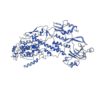20059_6ogy_J_v1-3
In situ structure of Rotavirus RNA-dependent RNA polymerase at duplex-open state