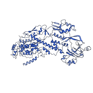 20059_6ogy_J_v1-4
In situ structure of Rotavirus RNA-dependent RNA polymerase at duplex-open state