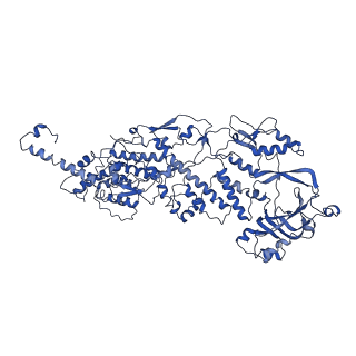 20059_6ogy_K_v1-3
In situ structure of Rotavirus RNA-dependent RNA polymerase at duplex-open state