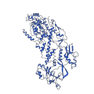 20059_6ogy_L_v1-3
In situ structure of Rotavirus RNA-dependent RNA polymerase at duplex-open state