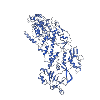 20059_6ogy_L_v1-4
In situ structure of Rotavirus RNA-dependent RNA polymerase at duplex-open state