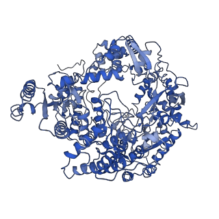 20060_6ogz_A_v1-3
In situ structure of Rotavirus RNA-dependent RNA polymerase at transcript-elongated state