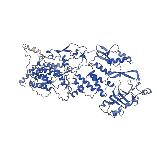20060_6ogz_E_v1-3
In situ structure of Rotavirus RNA-dependent RNA polymerase at transcript-elongated state
