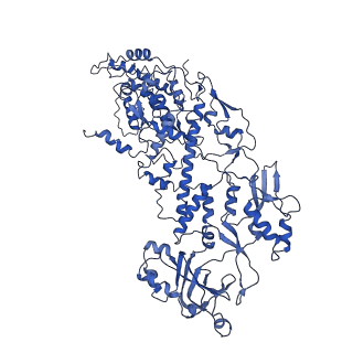 20060_6ogz_F_v1-3
In situ structure of Rotavirus RNA-dependent RNA polymerase at transcript-elongated state