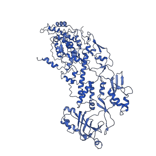 20060_6ogz_F_v1-4
In situ structure of Rotavirus RNA-dependent RNA polymerase at transcript-elongated state