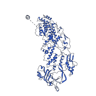 20060_6ogz_G_v1-3
In situ structure of Rotavirus RNA-dependent RNA polymerase at transcript-elongated state