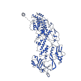 20060_6ogz_G_v1-4
In situ structure of Rotavirus RNA-dependent RNA polymerase at transcript-elongated state