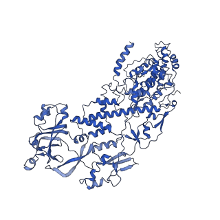 20060_6ogz_H_v1-3
In situ structure of Rotavirus RNA-dependent RNA polymerase at transcript-elongated state