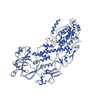 20060_6ogz_H_v1-4
In situ structure of Rotavirus RNA-dependent RNA polymerase at transcript-elongated state