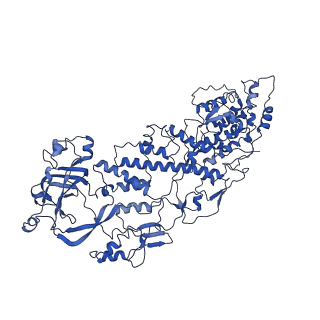 20060_6ogz_I_v1-3
In situ structure of Rotavirus RNA-dependent RNA polymerase at transcript-elongated state