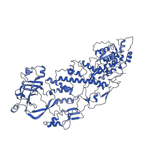 20060_6ogz_I_v1-4
In situ structure of Rotavirus RNA-dependent RNA polymerase at transcript-elongated state