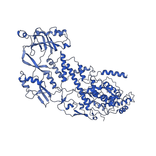 20060_6ogz_J_v1-4
In situ structure of Rotavirus RNA-dependent RNA polymerase at transcript-elongated state