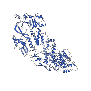 20060_6ogz_K_v1-3
In situ structure of Rotavirus RNA-dependent RNA polymerase at transcript-elongated state