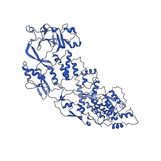 20060_6ogz_K_v1-4
In situ structure of Rotavirus RNA-dependent RNA polymerase at transcript-elongated state