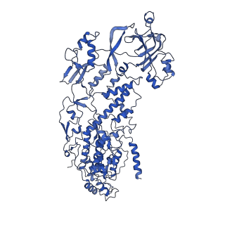 20060_6ogz_L_v1-3
In situ structure of Rotavirus RNA-dependent RNA polymerase at transcript-elongated state