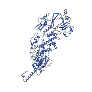 20060_6ogz_M_v1-3
In situ structure of Rotavirus RNA-dependent RNA polymerase at transcript-elongated state