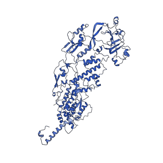 20060_6ogz_M_v1-4
In situ structure of Rotavirus RNA-dependent RNA polymerase at transcript-elongated state