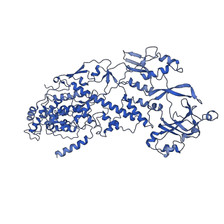 20060_6ogz_N_v1-3
In situ structure of Rotavirus RNA-dependent RNA polymerase at transcript-elongated state