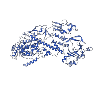 20060_6ogz_N_v1-4
In situ structure of Rotavirus RNA-dependent RNA polymerase at transcript-elongated state