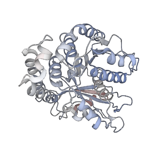 3803_5ogc_A_v1-3
Molecular basis of human kinesin-8 function and inhibition