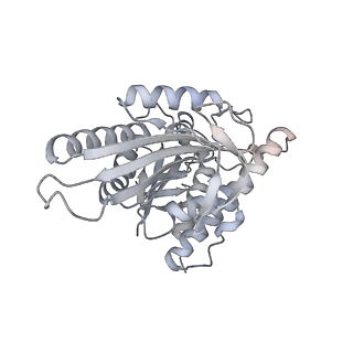 3803_5ogc_K_v1-3
Molecular basis of human kinesin-8 function and inhibition
