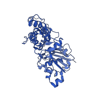 3805_5ogw_A_v1-4
Cryo-EM structure of jasplakinolide-stabilized malaria parasite F-actin at near-atomic resolution