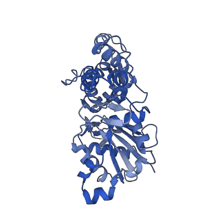 3805_5ogw_B_v1-4
Cryo-EM structure of jasplakinolide-stabilized malaria parasite F-actin at near-atomic resolution